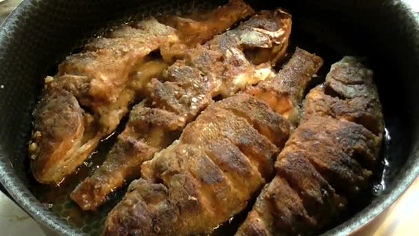 Cuisson frite rivière perche crue fraîche dans la casserole . — Video