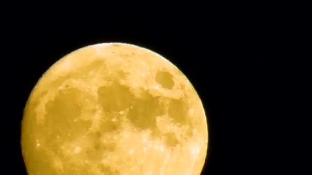 Vídeo real de luna llena subiendo movimiento en el cielo . — Vídeos de Stock