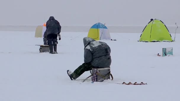 Sankt Petersburg, Rosja, 20 lutego 2016: Sporty zbiorowe łowienia ryb w rzece. — Wideo stockowe