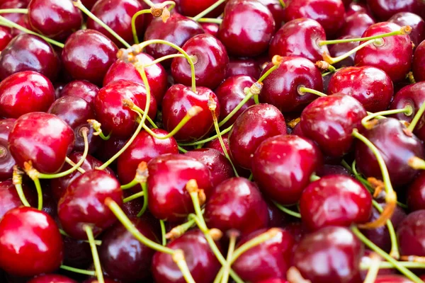 Kırmızı Kiraz zemin.