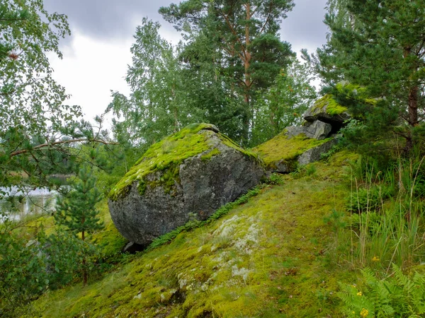 Kıyısında taşlarla manzara.