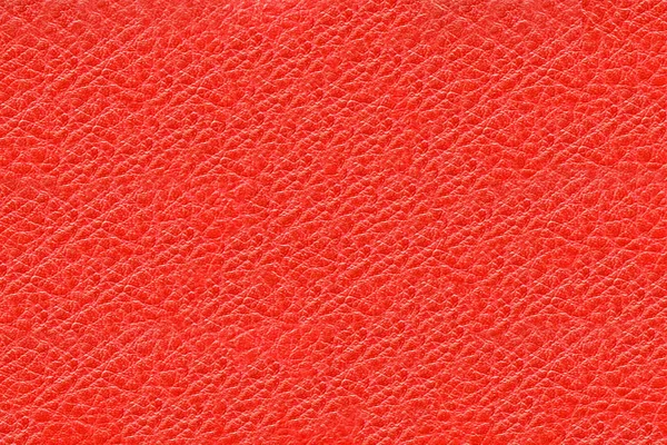 Texture Natural Tanned Processed Pig Skin Leather Manufacture Products Raw — Stock Photo, Image