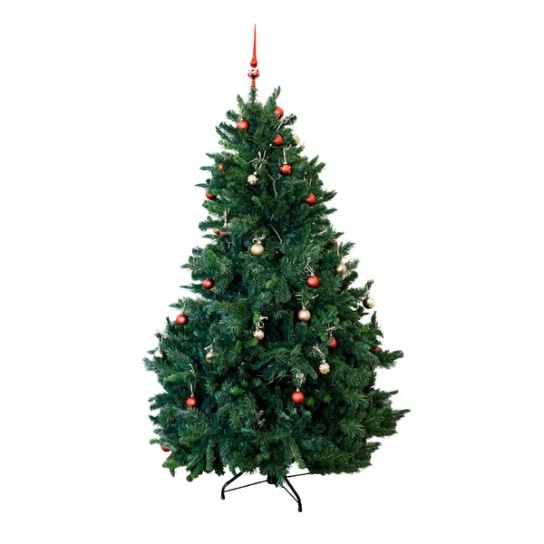 Yeşil kabarık Noel güzellik doğal çam ağacı. Noel iğne yapraklı simgesi. Ağaç arka plan üzerinde izole.