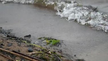 Sahilde çamurlu su sörfü.