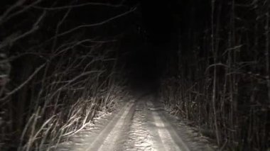 Geceleyin ormanda ürkütücü kış yolu var. Karlı ve vahşi bir yolda.
