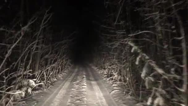 Läskig Vinterväg Skogen Natten Långt Snöig Vild Väg — Stockvideo
