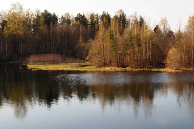 Kuzey 'in manzara gölleri ve ormanları.