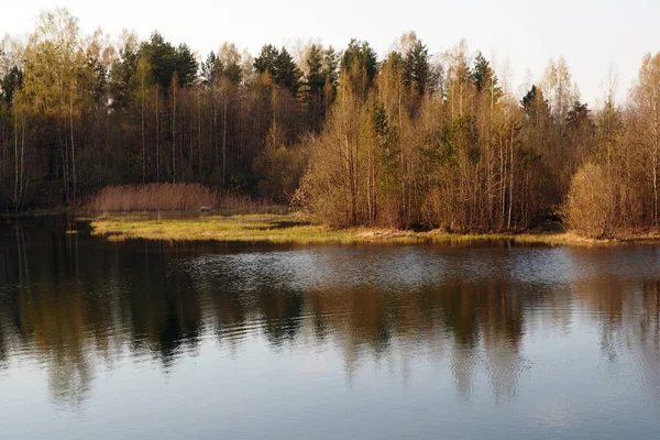 Krajinná jezera a lesy na severu. — Stock fotografie