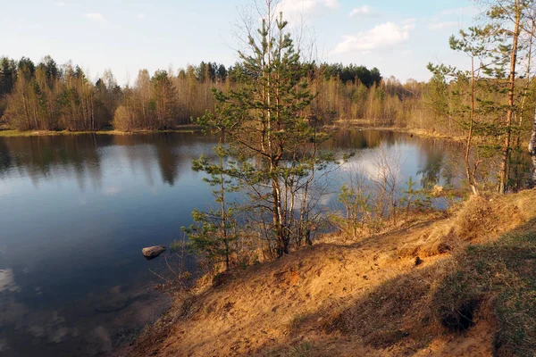 Krajinná jezera a lesy na severu. — Stock fotografie