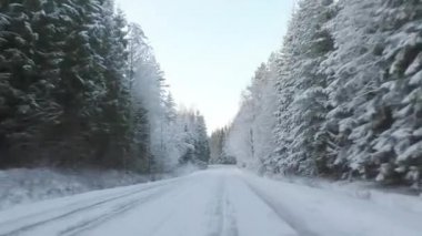Vahşi ormanda karlı, geçilemez bir yol..