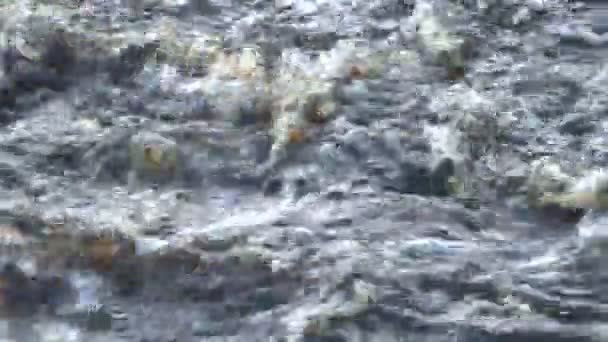 Voor turbulent water op de stroomversnellingen. — Stockvideo