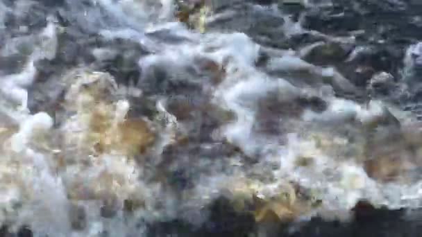 Para aguas turbulentas en los rápidos . — Vídeo de stock