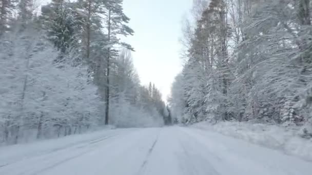 Snöig oframkomlig väg i den vilda skogen. — Stockvideo