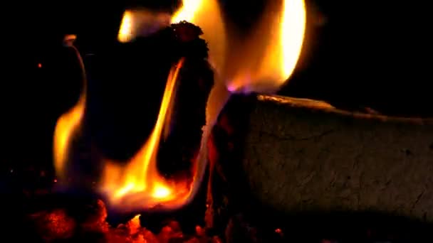 Verbranden van hout de briketten. — Stockvideo