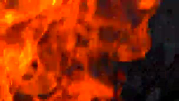森林火災植生に燃える 炎は暗い背景に強く隔離されています — ストック動画