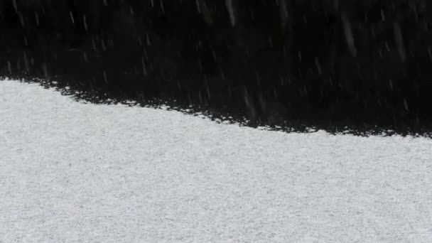 Śnieg Pada Ciemną Otchłań Niebezpiecznej Wody Burza Śnieżna Dryf Lodu — Wideo stockowe