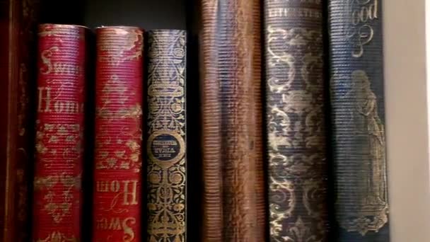 Gamla Böcker Hyllan Biblioteket För Klassisk Antik Litteratur — Stockvideo