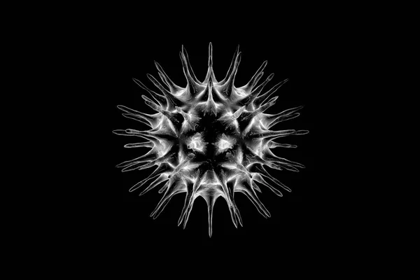 ウイルスCovid 19は3Dレンダリングで黒で分離されました 生きている細胞内で増殖し インフルエンザの流行を引き起こす危険な非細胞感染剤 — ストック写真