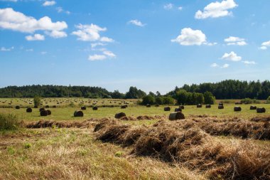 Tarım otoburları için saman.