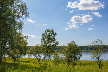 Ormanda Doğa Yazı Idyllic manzaralı.