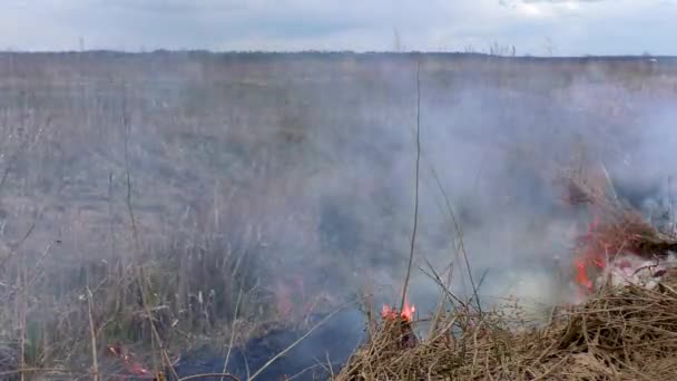 L'incendie des forêts menace la catastrophe .