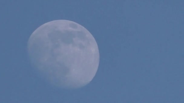 La luna se mueve de día en el cielo azul . — Vídeos de Stock