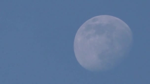 La lune se déplace le jour dans le ciel bleu .
