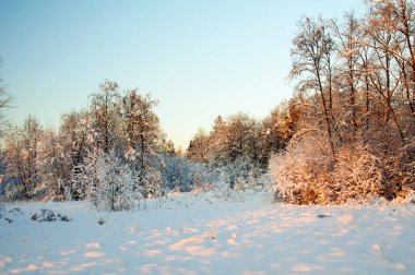 Vahşi Kuzey 'de kış.
