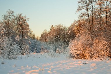 Vahşi Kuzey 'de kış.