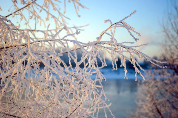 Tél Vadonban Észak — Stock Fotó