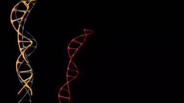 Metin için siyah arkaplandaki DNA molekülü. Yaşayan organizmaların gelişimi ve işlevleri için genetik programı saklayan bir makro molekül..