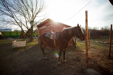 at yakınındaki bir demirci çalışma