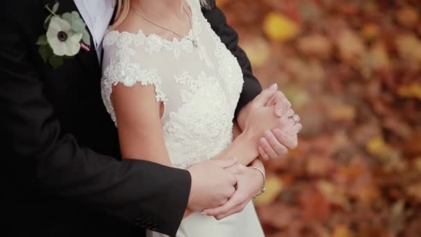 Casal de casamento no parque de outono — Vídeo de Stock