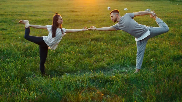 Çift stand ve gün batımında çimenlerin üzerinde pratik yoga