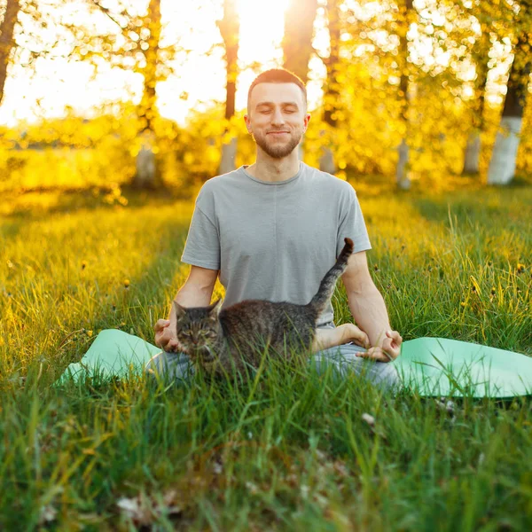 Man practicing yoga lifestyle with cat in the park at sunset, sitting in a lotus pose — Stock Photo, Image