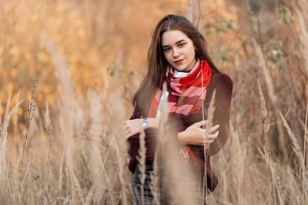 Joven alegre atractiva de moda en un suéter de punto borgoña de moda con una elegante bufanda a cuadros posando en un campo entre hierba seca alta. Feliz chica linda modelo de moda descansa al aire libre. Otoño . — Foto de Stock