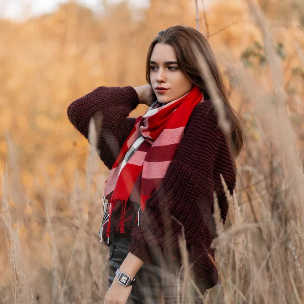 Dość atrakcyjne modne młoda kobieta w modnej dzianiny burgundowy sweter ze stylowym szalikiem w kratę pozowanie na polu wśród wysokich traw suchych. Modny cute girl moda model spoczywa na wsi — Zdjęcie stockowe