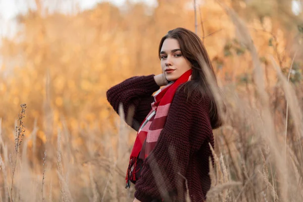 Modelo de moda de mujer bastante joven europea en un suéter de punto elegante con una bufanda a cuadros vintage posando al aire libre en un campo entre hierba alta seca.Linda chica descansando en el campo en un día de otoño — Foto de Stock