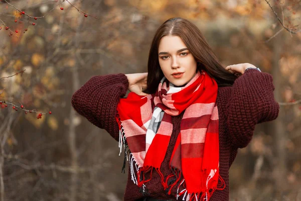 Естественный портрет молодой женщины с каштановыми волосами в трикотажном модном свитере в модном клетчатом шарфе на открытом воздухе в лесу. Красивая стильная девушка отдыхает в осеннем парке . — стоковое фото