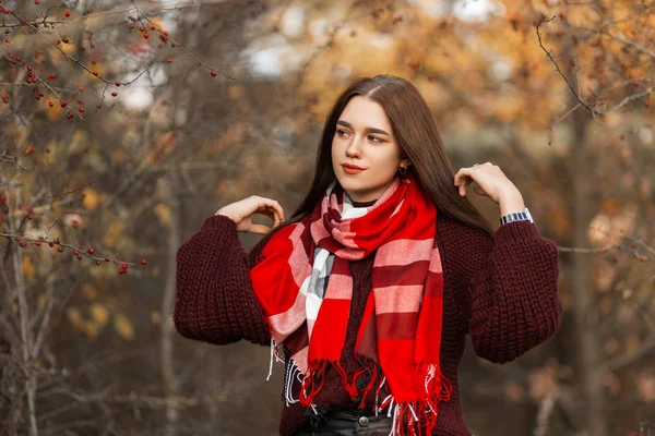Atrakcyjna młoda kobieta w bordowym swetrze z dzianiny w czerwonym, stylowym, kratowym szaliku, pozująca w parku na tle suchych jesiennych drzew. Cute dziewczyna moda model odpoczynku na świeżym powietrzu w lesie. — Zdjęcie stockowe