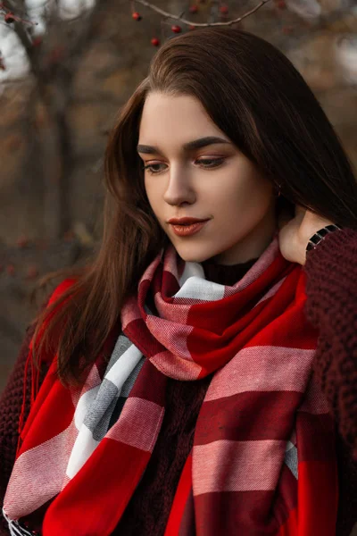 Portrait naturel d'une jolie jeune femme aux cheveux bruns dans un pull tricoté à la mode dans une écharpe à carreaux de mode à l'extérieur dans la forêt. Belle fille élégante se repose dans le parc d'automne . — Photo