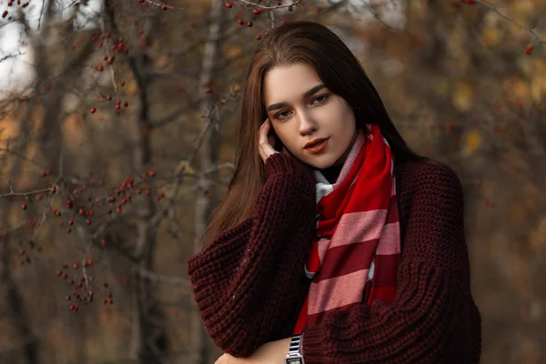 Retrato de uma jovem atraente bonito com cabelo castanho em uma camisola de malha elegante com um lenço xadrez elegante vermelho ao ar livre. Menina bonita gosta de um passeio na floresta em um dia de outono . — Fotografia de Stock