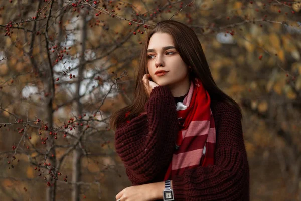 Jolie jeune femme dans un pull tricoté bordeaux à la mode avec une écharpe à carreaux rouge élégant posant dans le parc sur un fond d'arbres d'automne secs. modèle fille mignonne reposant à l'extérieur dans la forêt . — Photo