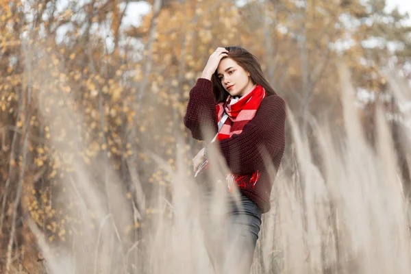 Europejska młoda kobieta w modnym burgundowym swetrze z dzianiny w stylowym szaliku w kratę, pozująca wśród suchej wysokiej trawy na polu. Piękna dziewczyna moda model jest odpoczynku na świeżym powietrzu na wsi. — Zdjęcie stockowe