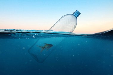 Plastic bottle with fish, pollution in the ocean. Hopelessness concept. Environmental pollution 