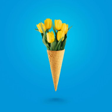 Yellow tulips with ice cream waffle cone on a blue background. World Women's Day concept. March 8.
