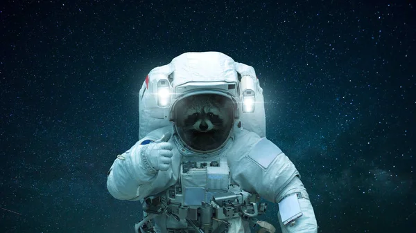 Raccoon in open space shows like. Space animal in a space suit on a background of a starry sky. Concept — Stock Photo, Image