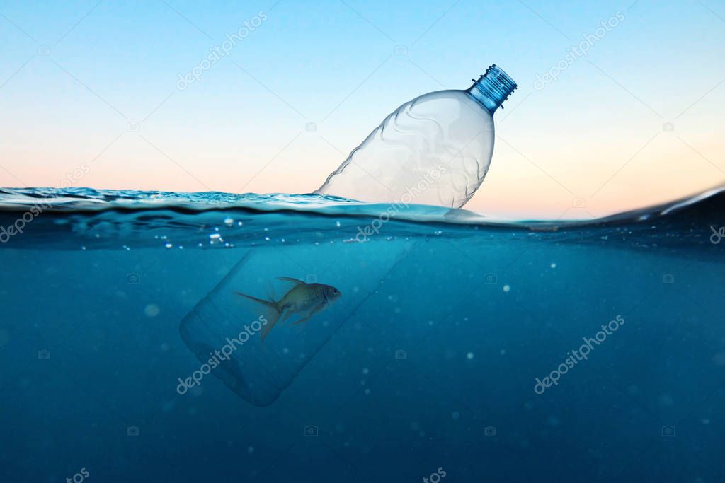 Plastic bottle with fish, pollution in the ocean. Hopelessness concept. Environmental pollution 