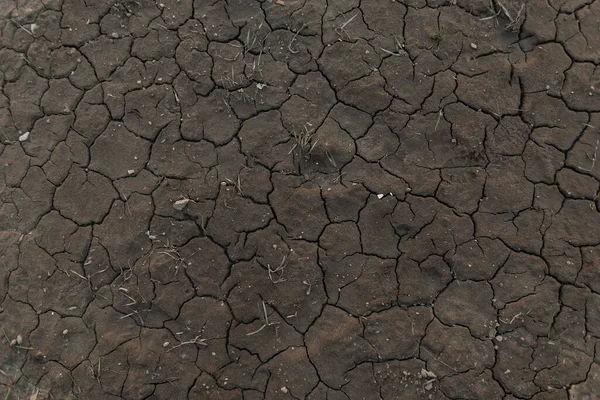 生命のない乾燥した土地 地球温暖化の概念 — ストック写真