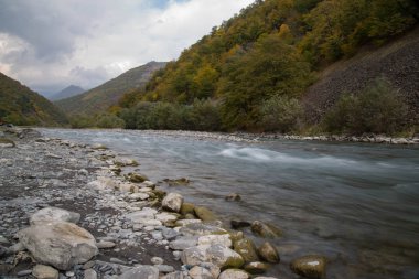 Gece şehri bulvarı ve ay